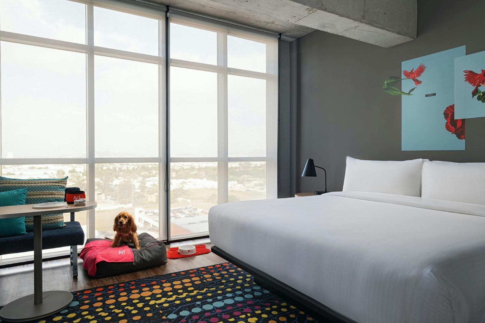 ホテル Aloft Guadalajara Sur Santa Anita  エクステリア 写真